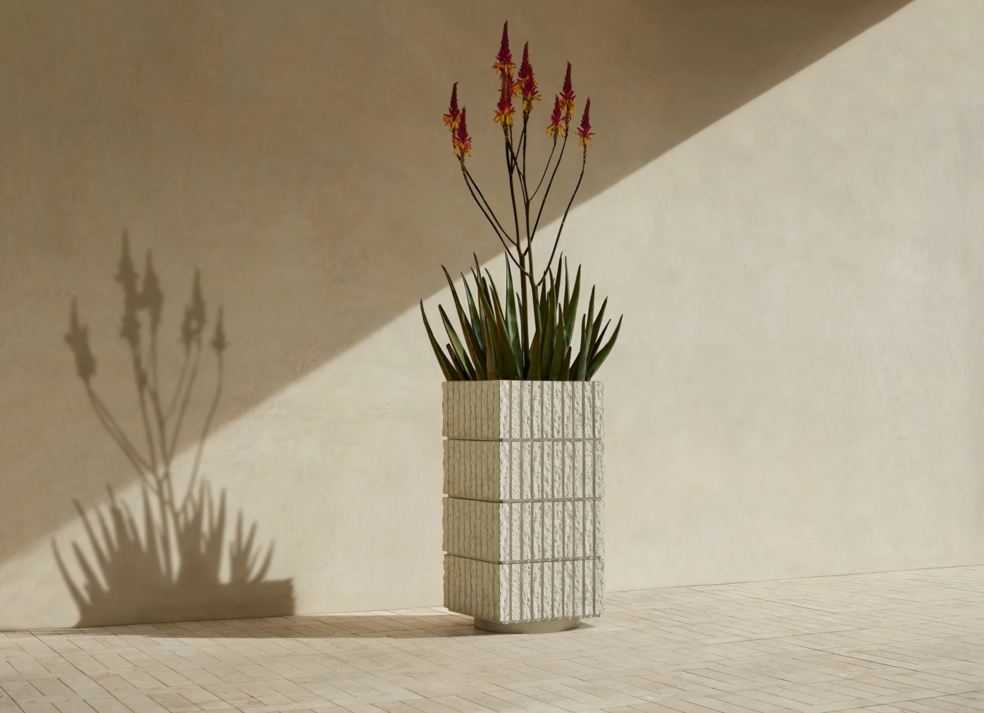 Atlas IV in four segments, planted with a flowering aloe, against a plaster wall