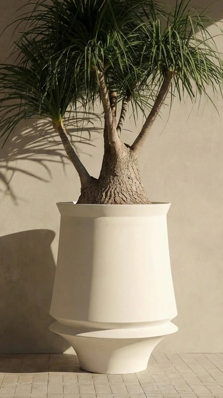Artifact 03 holding a ponytail palm against a warm plaster wall