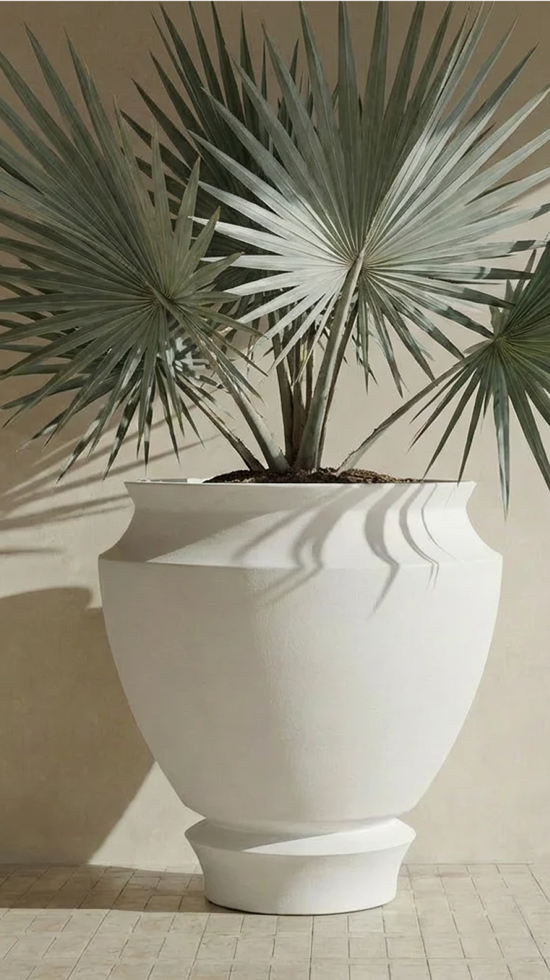 Artifact 04 holding a fan palm on a sunlit paved terrace