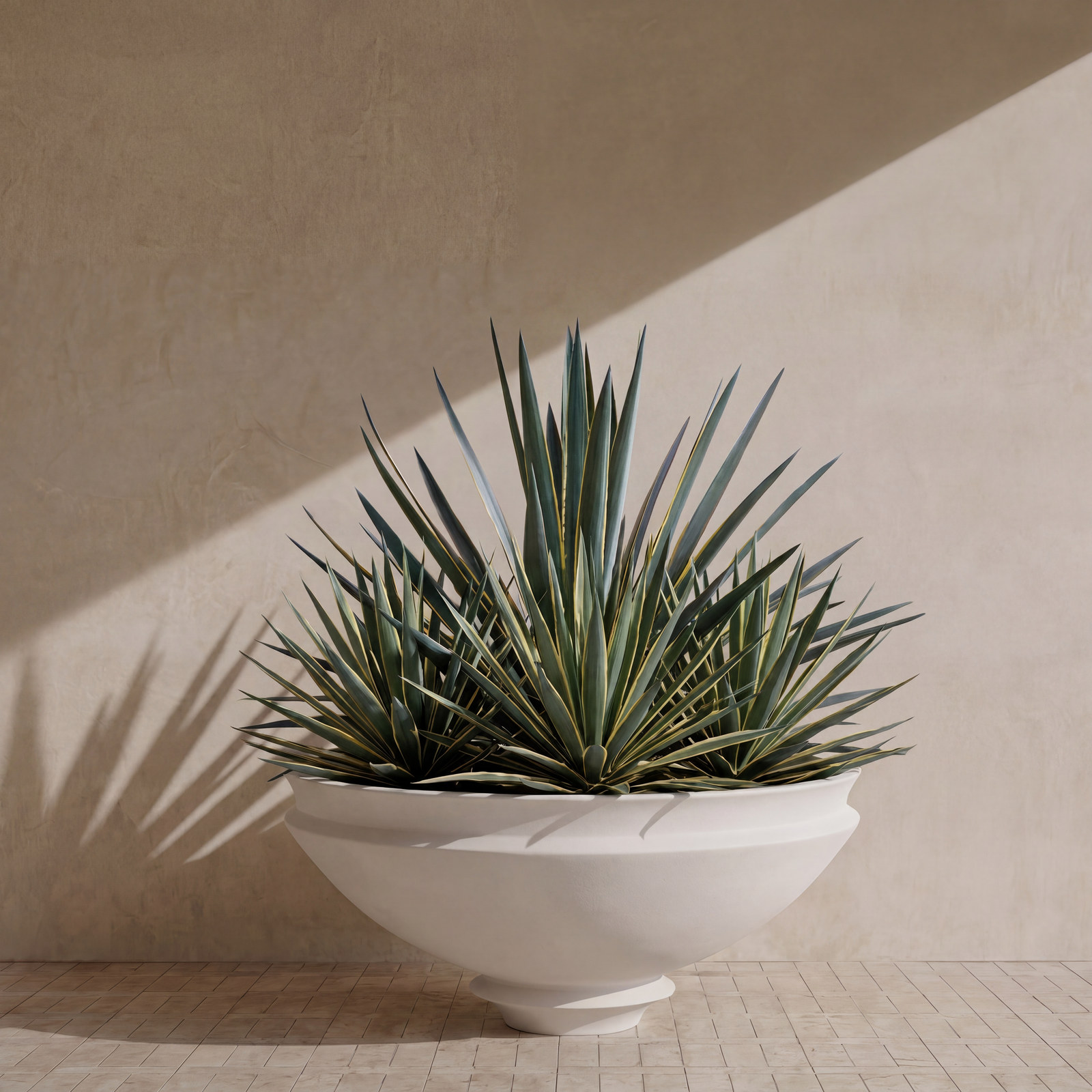 Artifact 08 planted with an agave, casting a hard shadow on a plaster wall