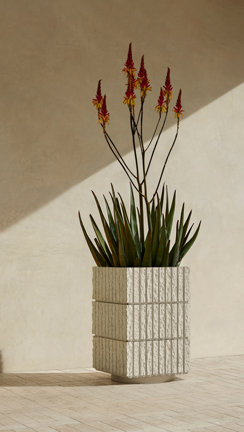 Atlas III planted with a flowering aloe against a pale wall