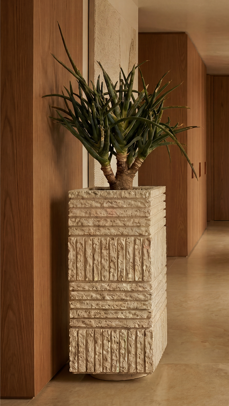 Atlas IV in a sand finish, planted with aloe in a warm corridor