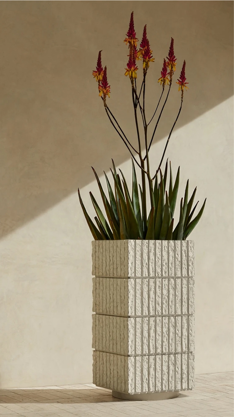 Atlas IV planted with a flowering aloe in raking sunlight