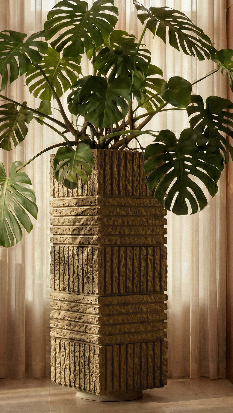 Atlas V planted with a monstera beside sheer curtains