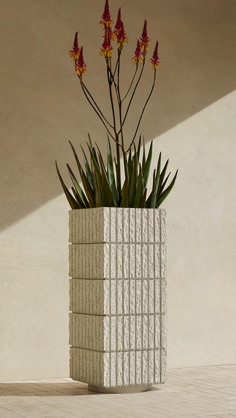 Atlas V planted with a flowering aloe, casting a long shadow on a plaster wall