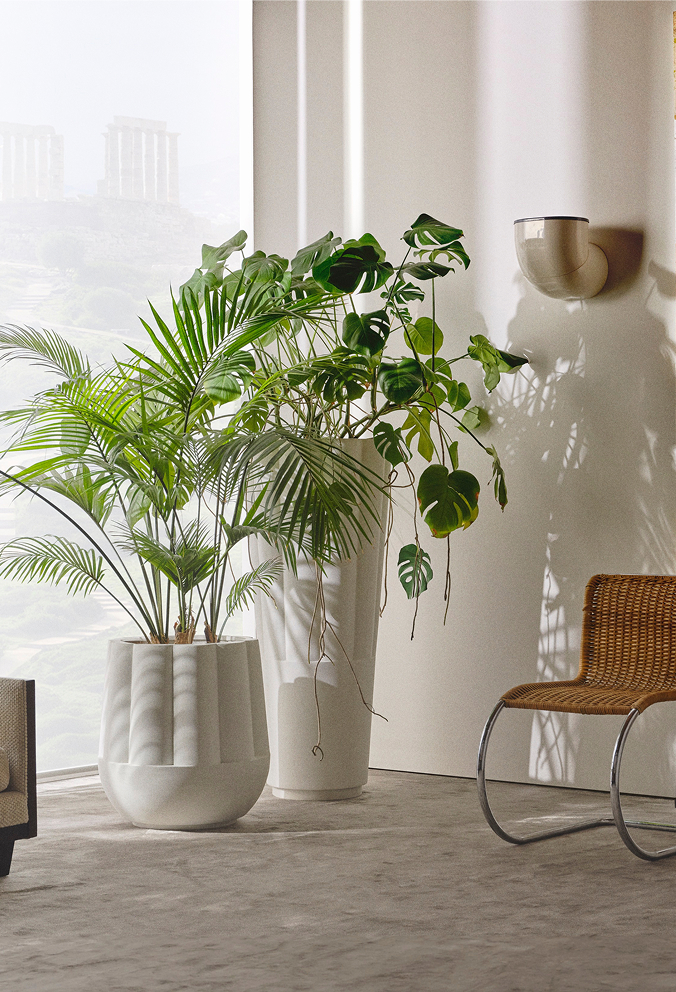 A group of Byblos planters holding palms in a room overlooking the city