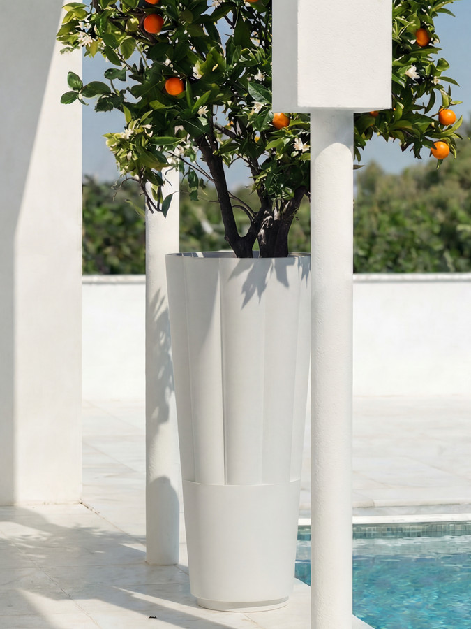 Byblos planters holding a fruiting citrus tree beside a swimming pool