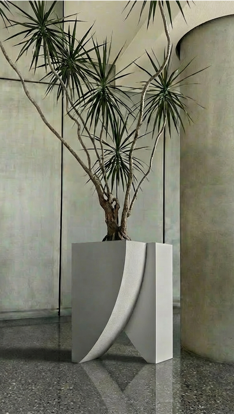 Icarus 03 planted with a dracaena in a curved-walled room