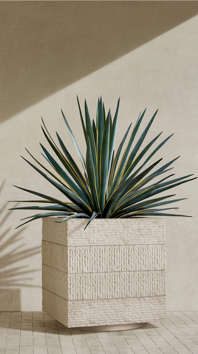 Janus IV planted with a spiky yucca in bright sun
