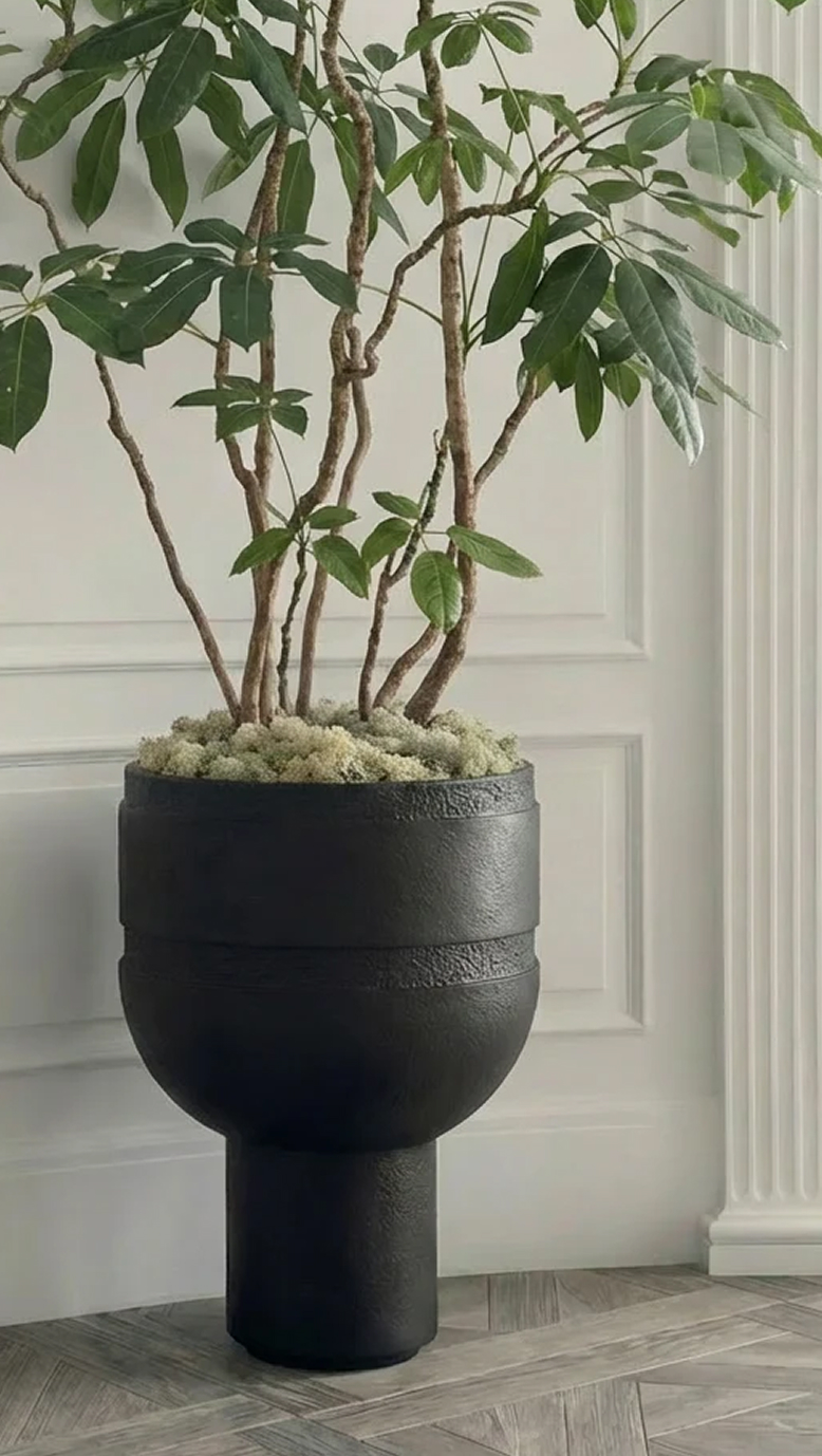 Orion Chalice in charcoal, planted with a small tree in a panelled room