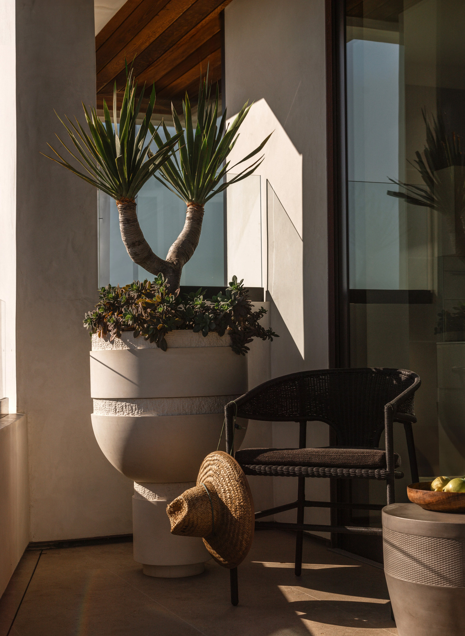 Orion planters holding a dragon tree in a sunlit room with a woven chair