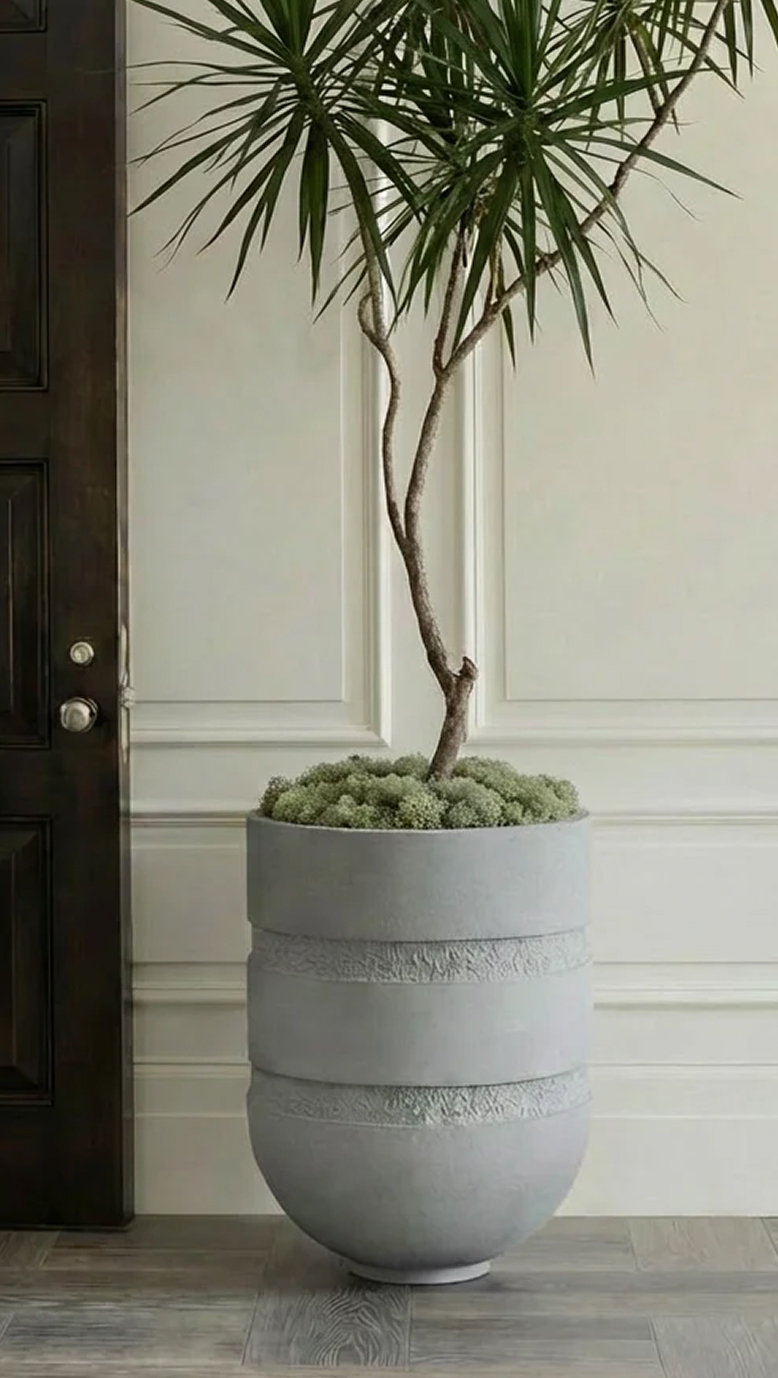Orion III planted with a dracaena beside a dark doorway