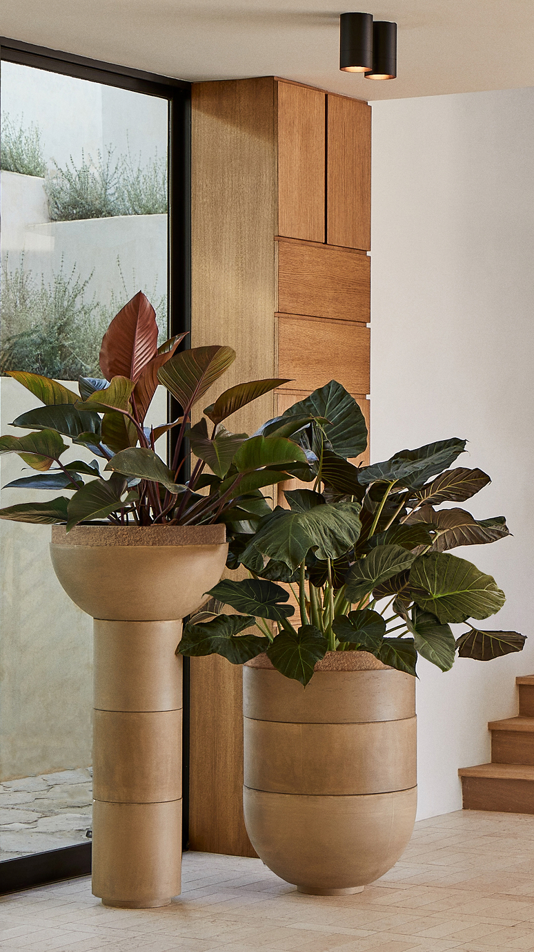 Two Saturn planters holding philodendrons beside a glass wall