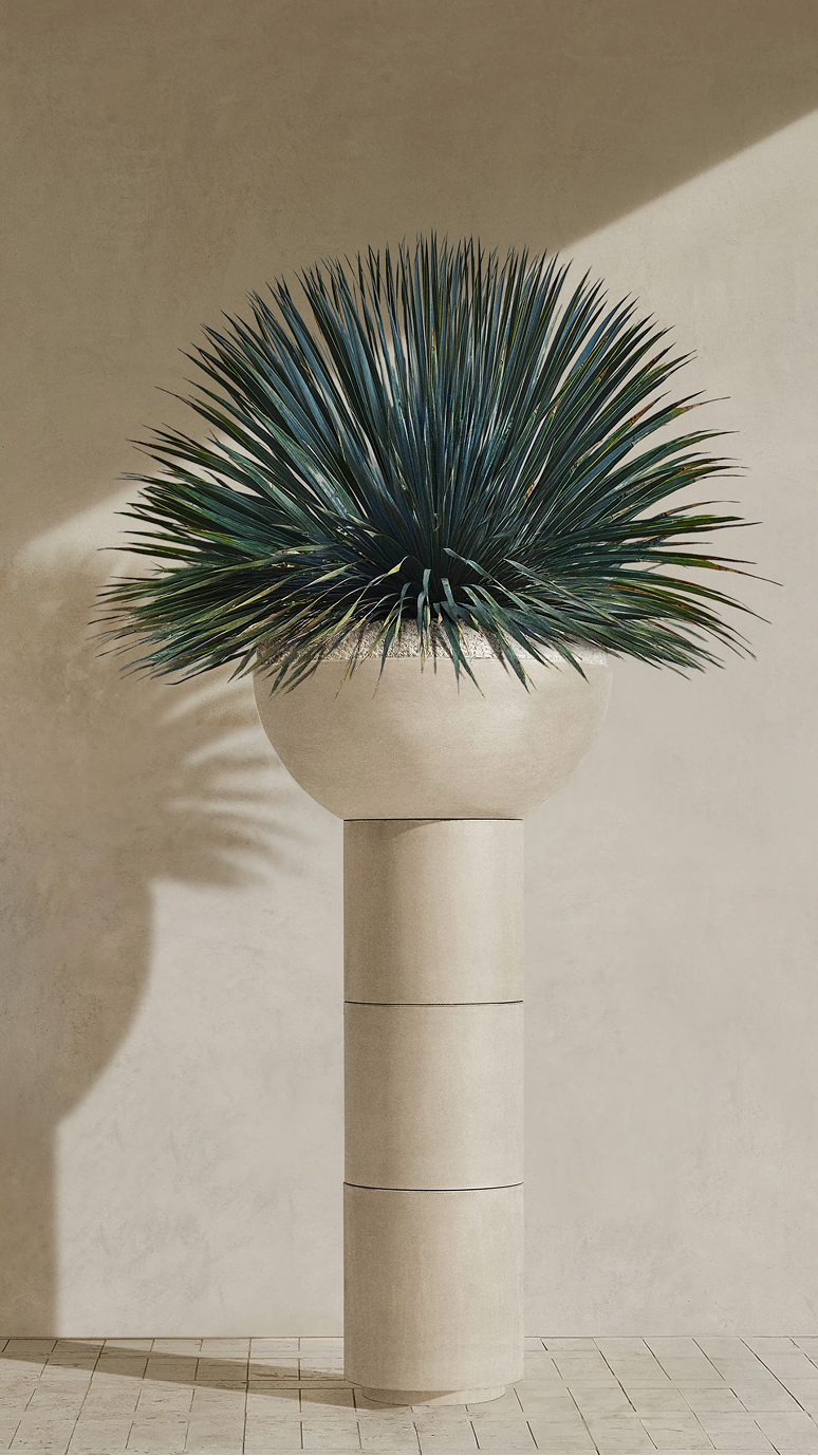 Saturn IV planted with a blue agave against a sunlit wall