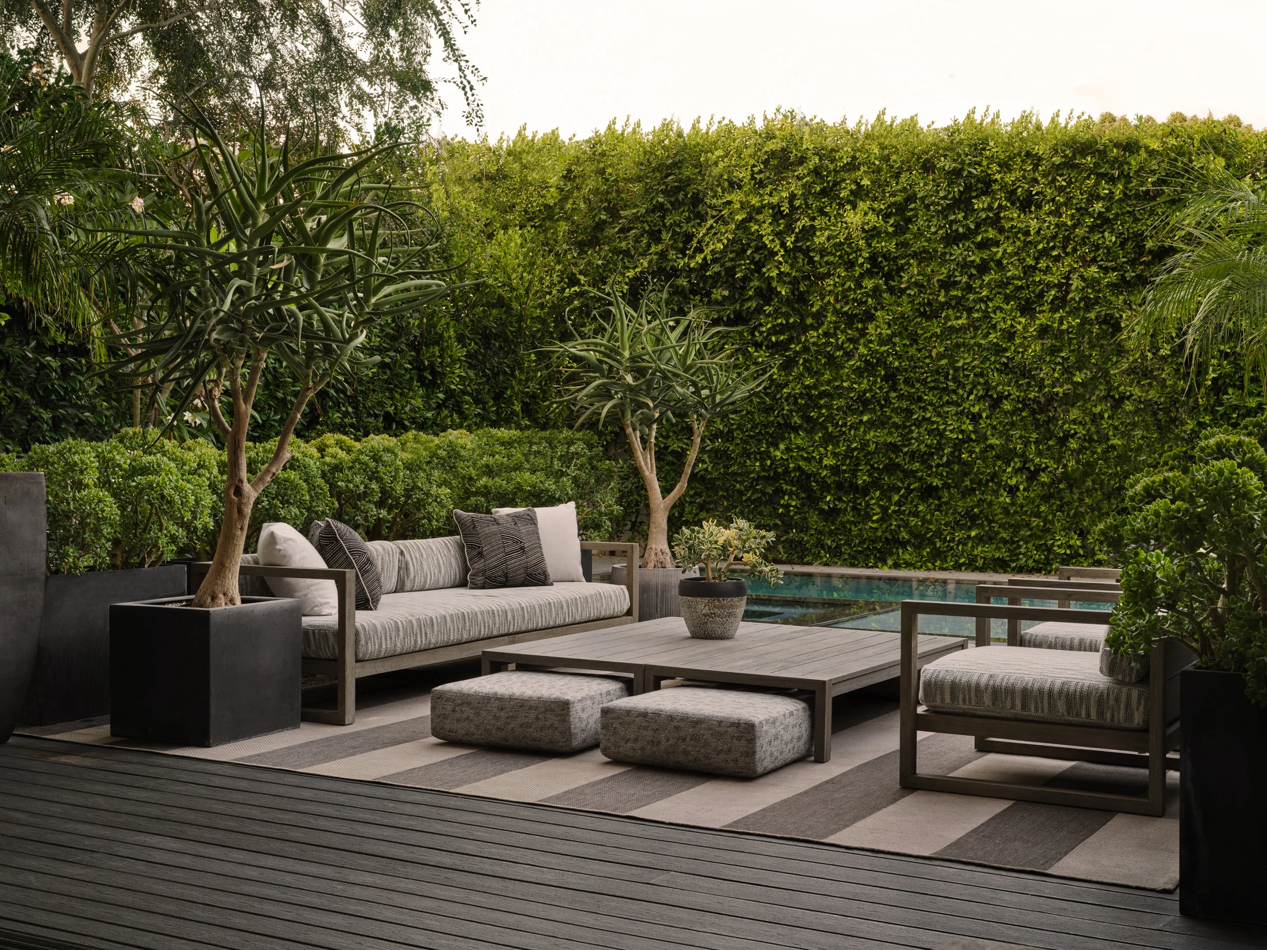 West Hollywood Contemporary garden