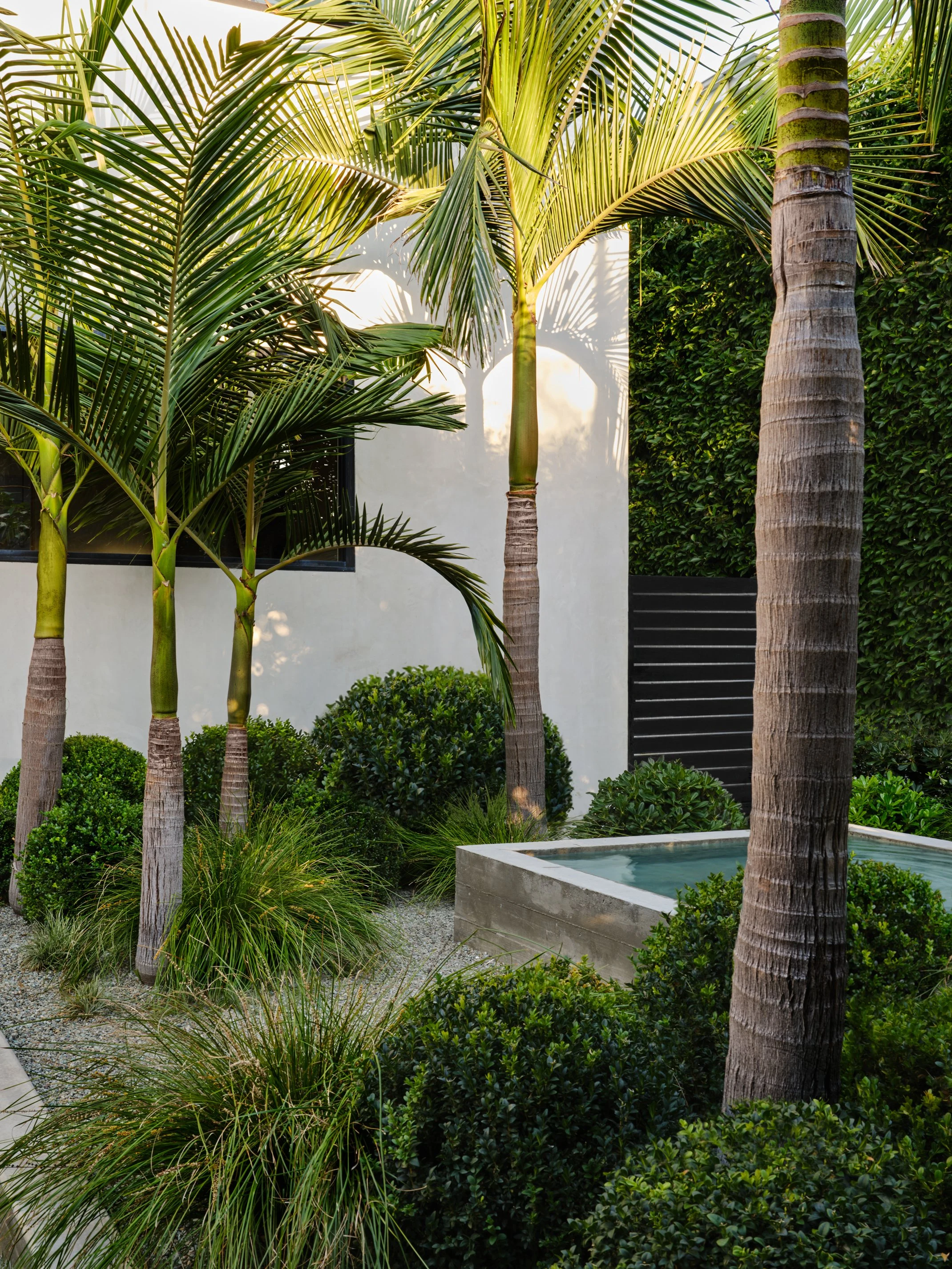 West Hollywood Contemporary terrace