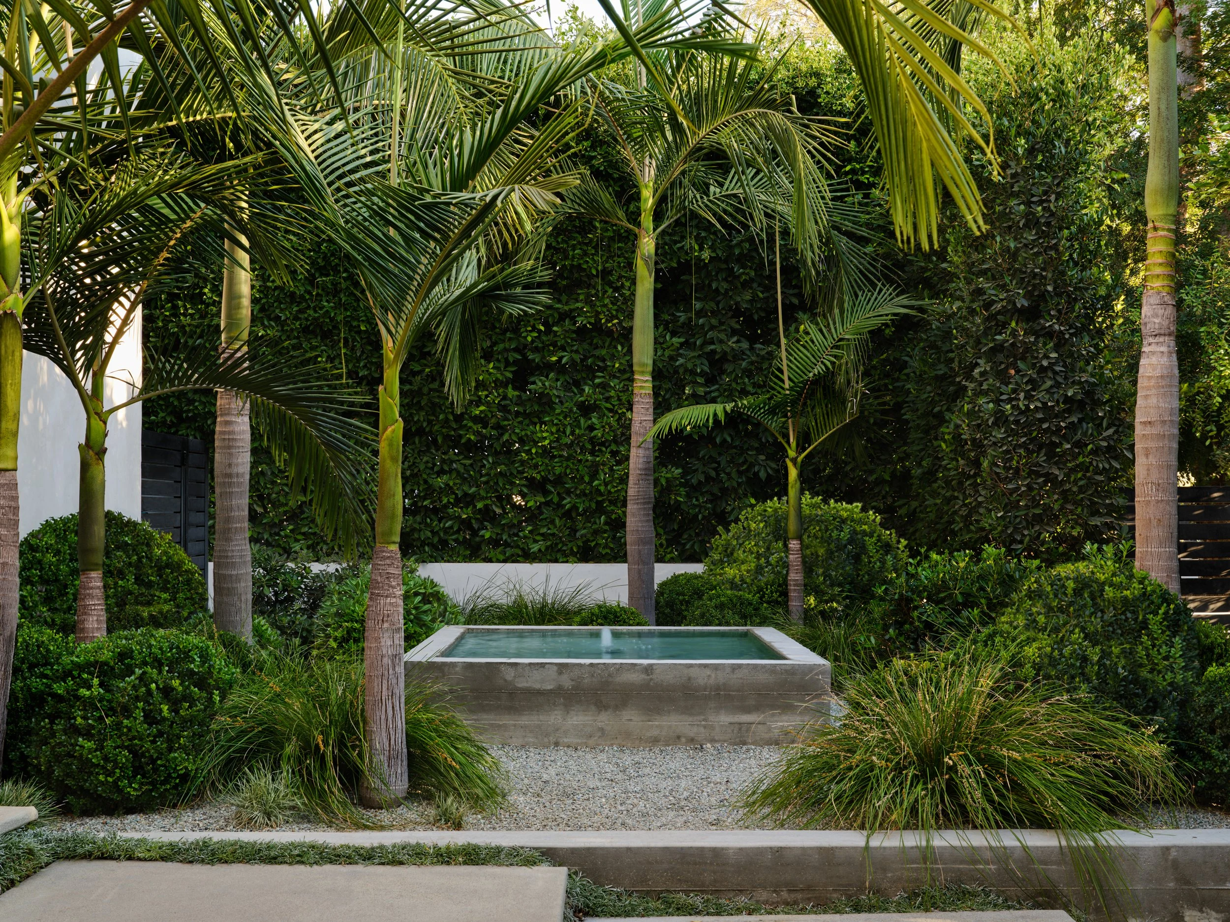 West Hollywood Contemporary planting detail