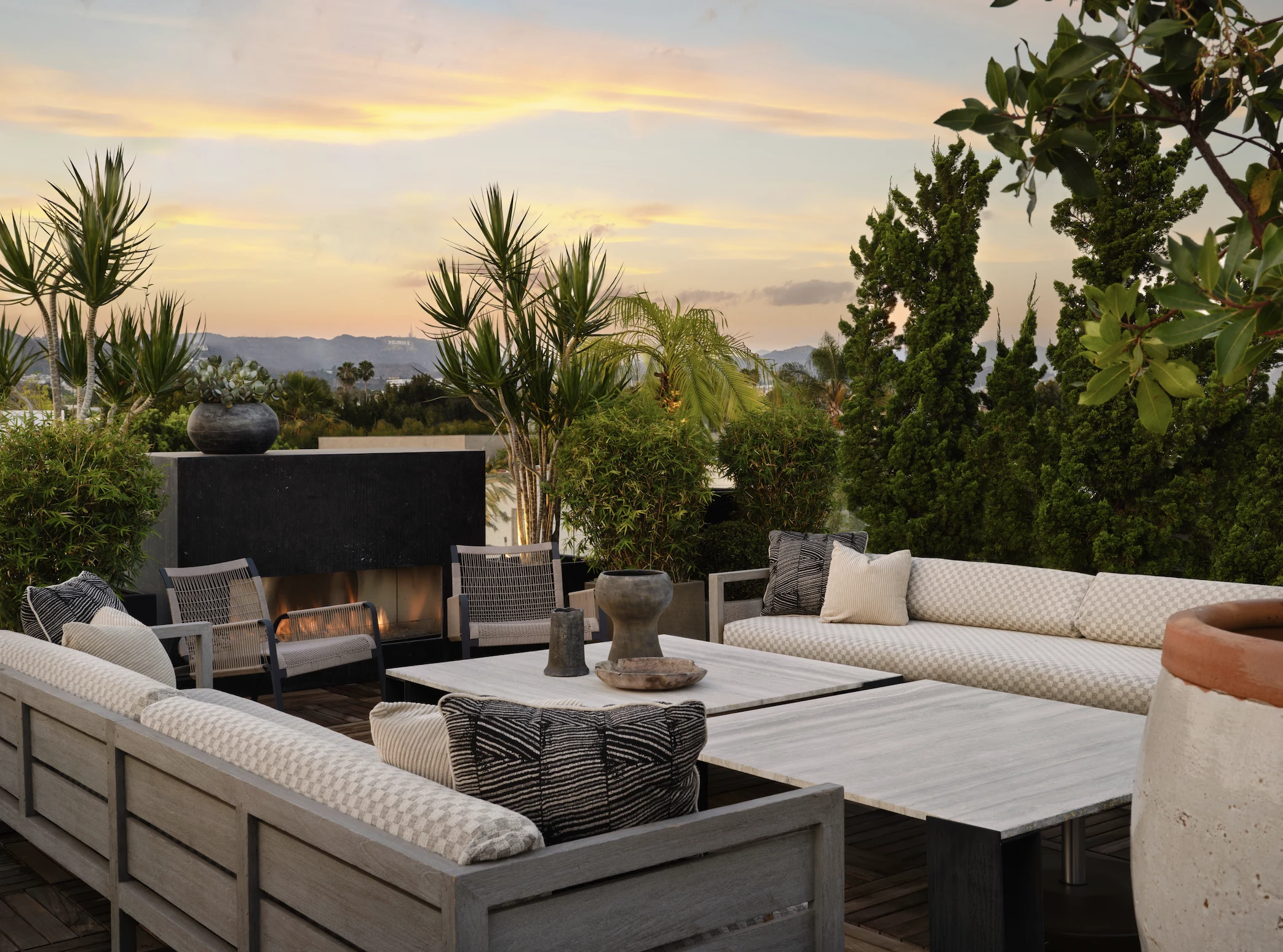 West Hollywood Contemporary garden overview